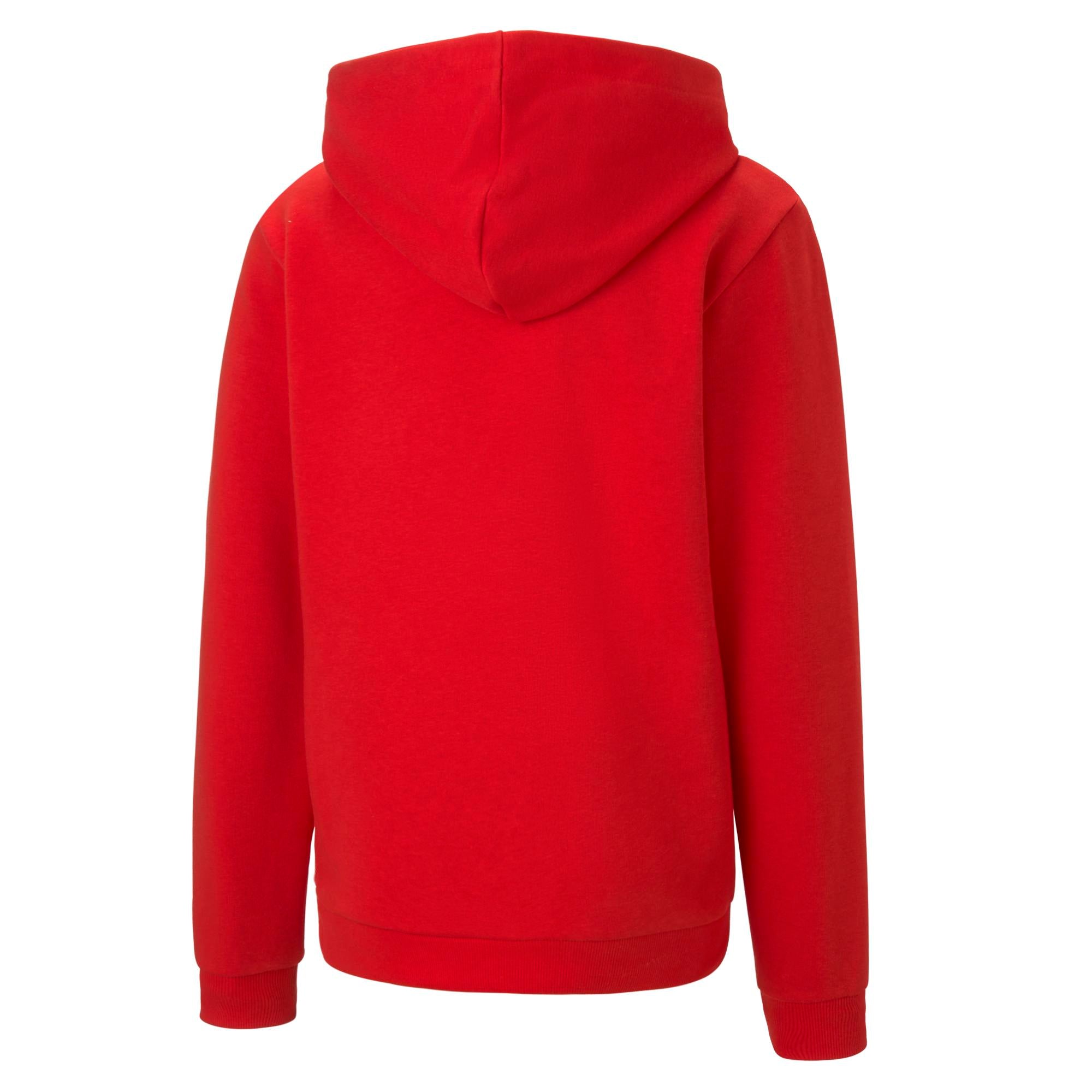 Puma Teamgoal 23 Casuals Hoody Jr (Red) - 656711 01