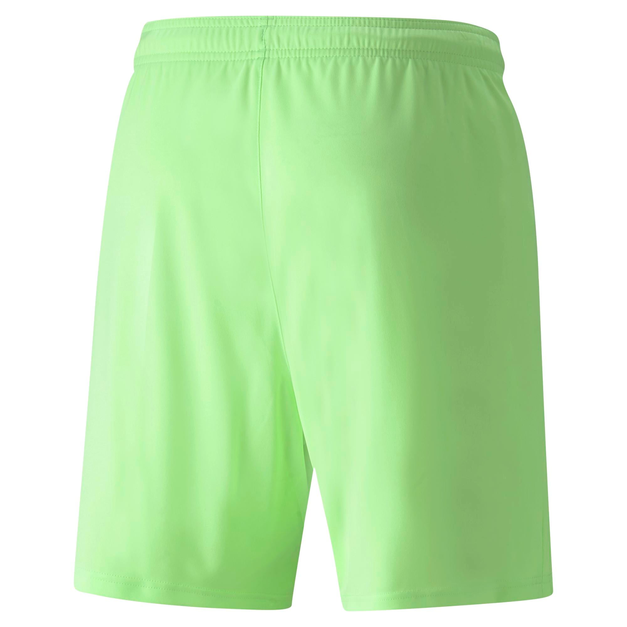 Puma TeamLiga Short - 704924 20