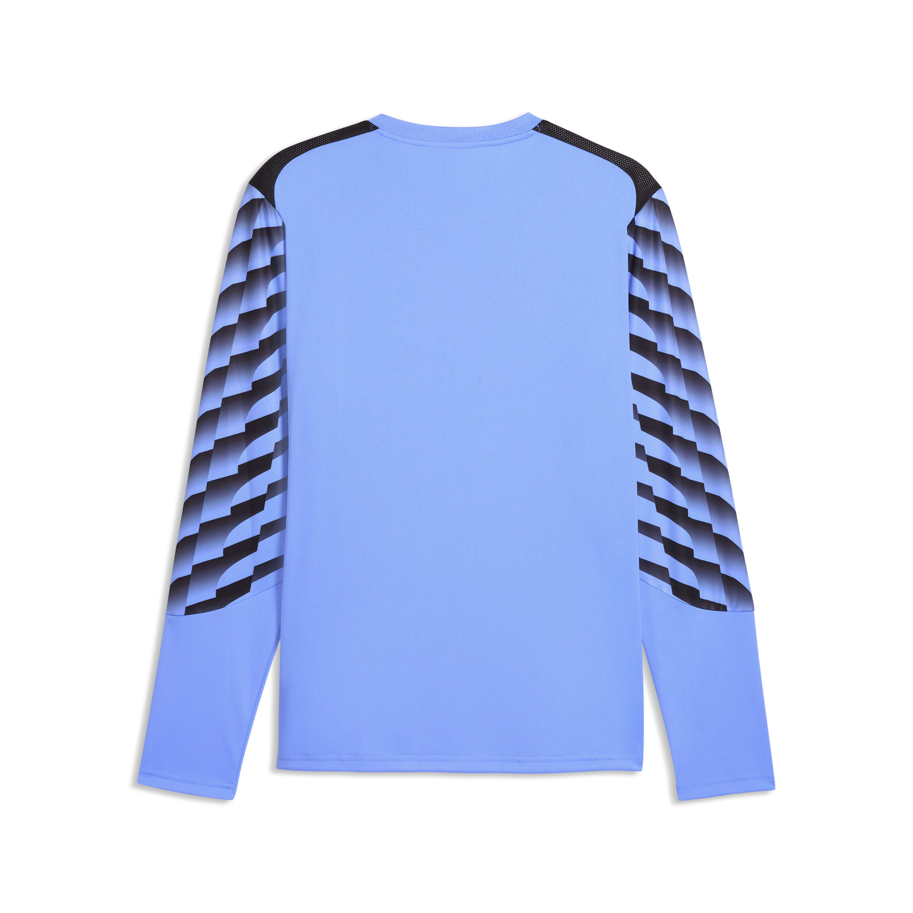 Puma TeamLiga26 LS GK Jersey - 706547 31