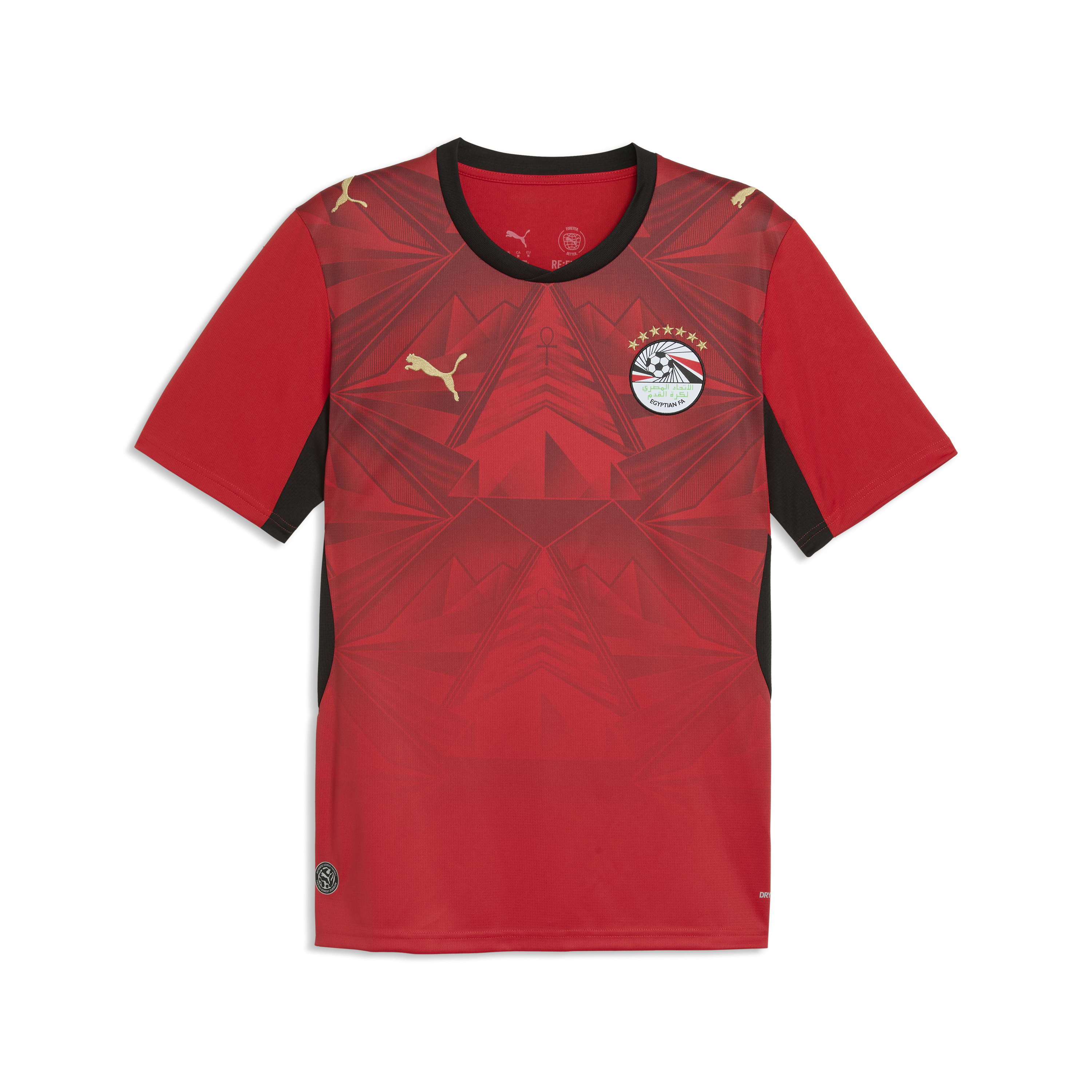 Puma Egypt 2026 Stadium Home Jersey - 783552 01