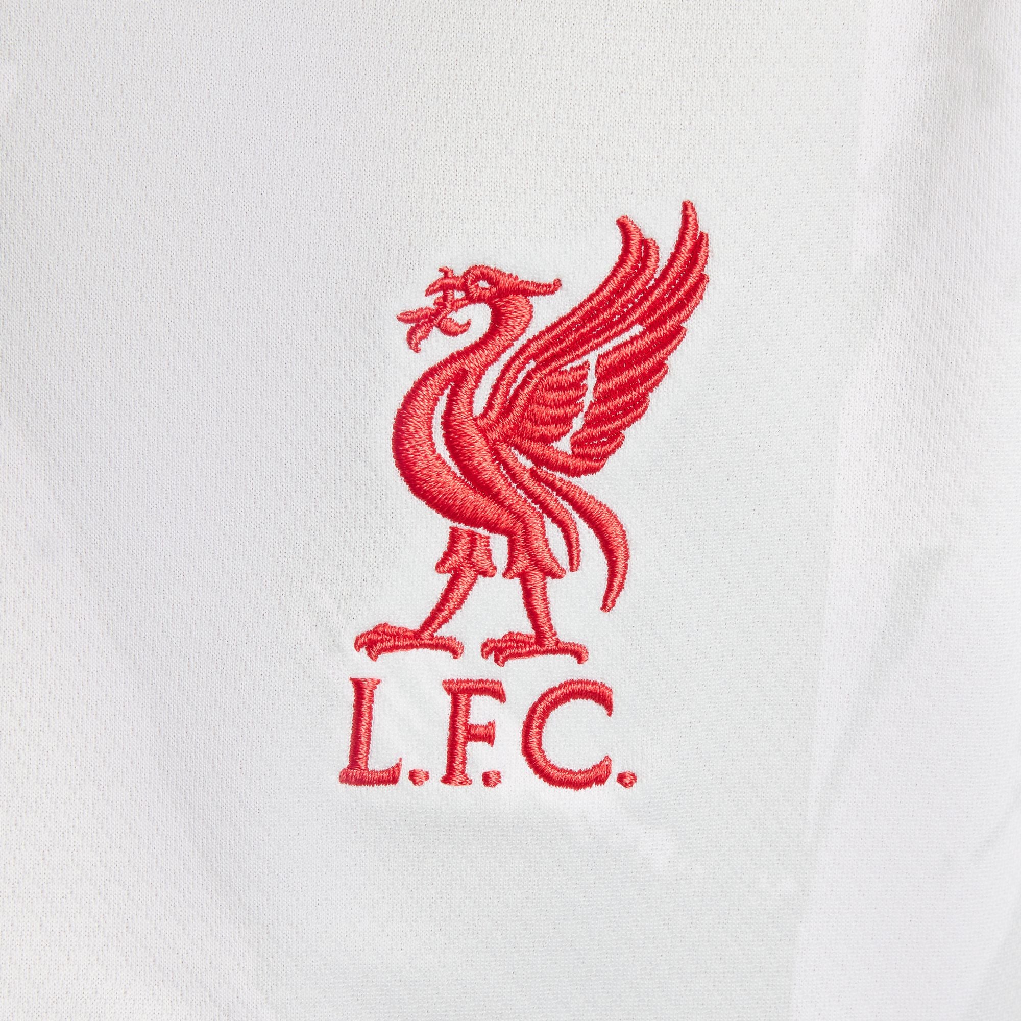 Nike Liverpool Youth 3rd Jersey 24/25 - FQ2253-101