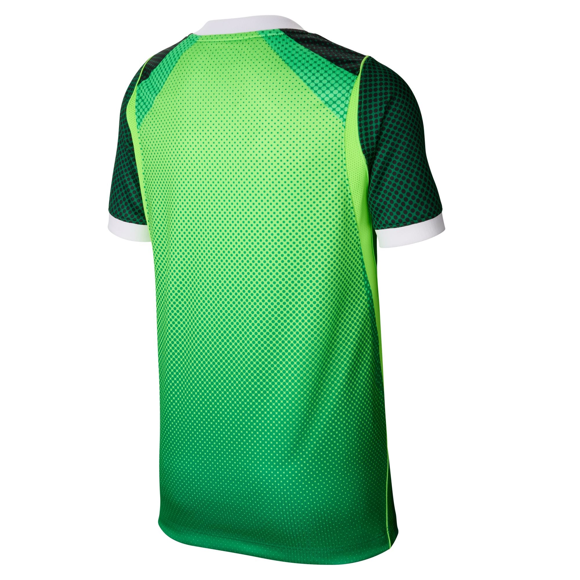 Nike Nigeria 2026 Youth Stadium Home Jersey - IB5139-302