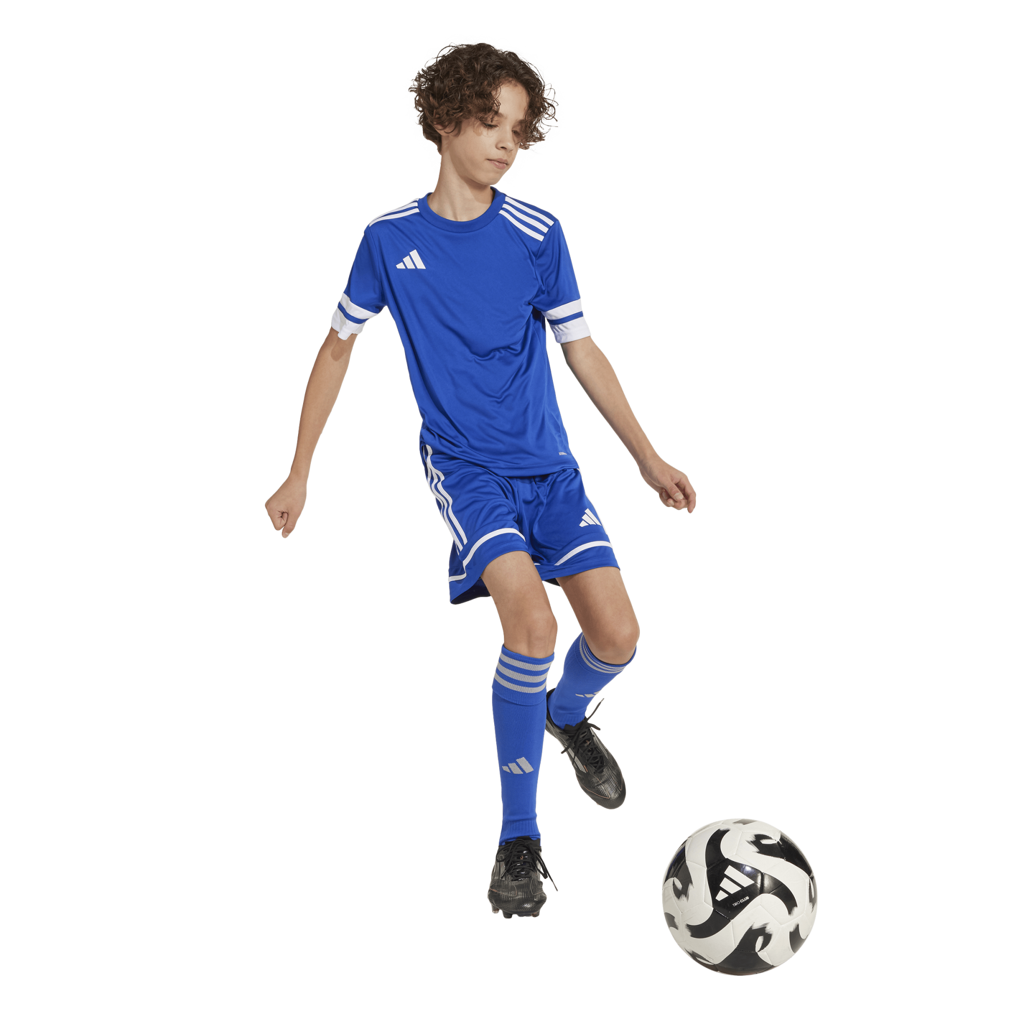 Adidas Squadra 25 Shorts Youth - JN5455
