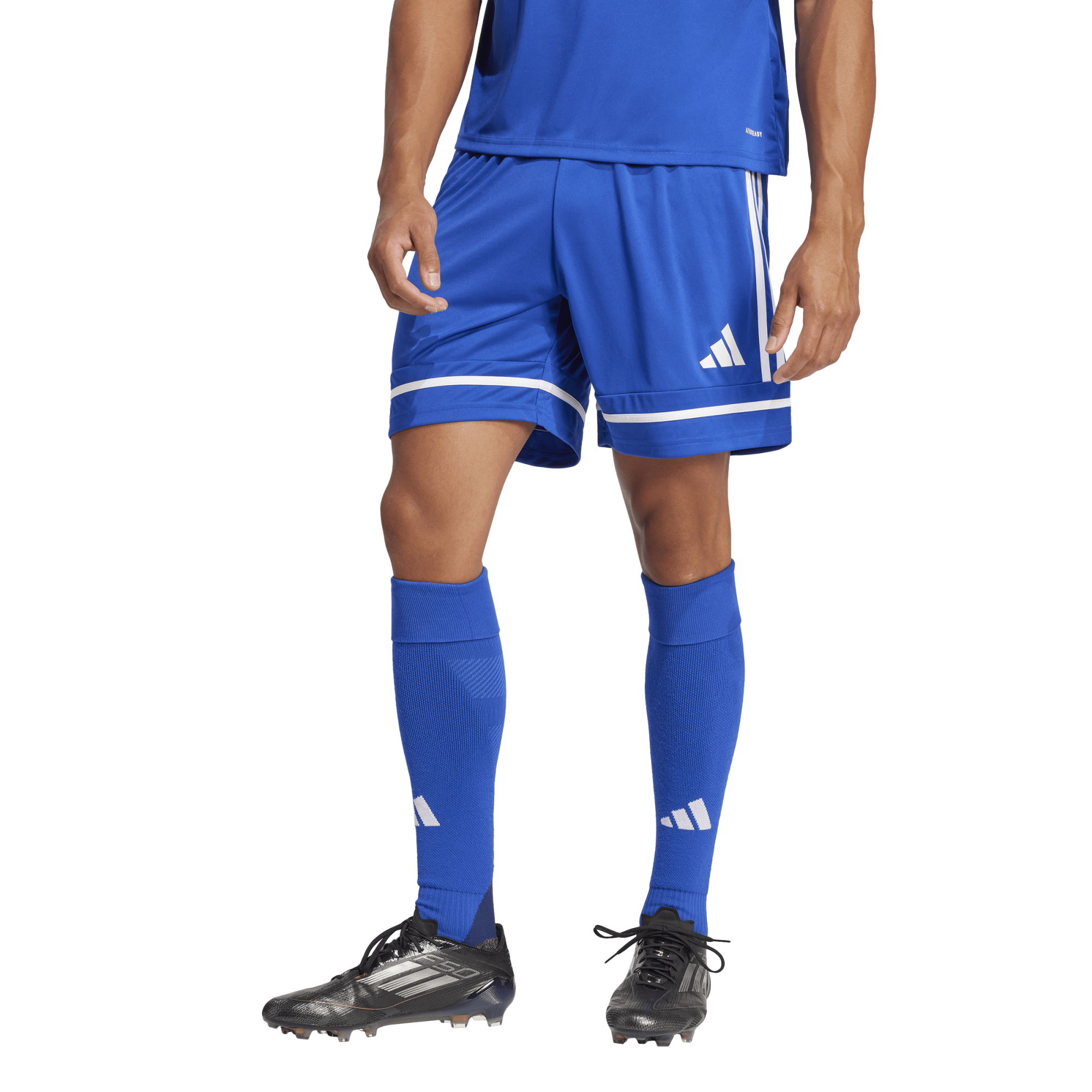 Adidas Squad 25 Shorts - JN5465
