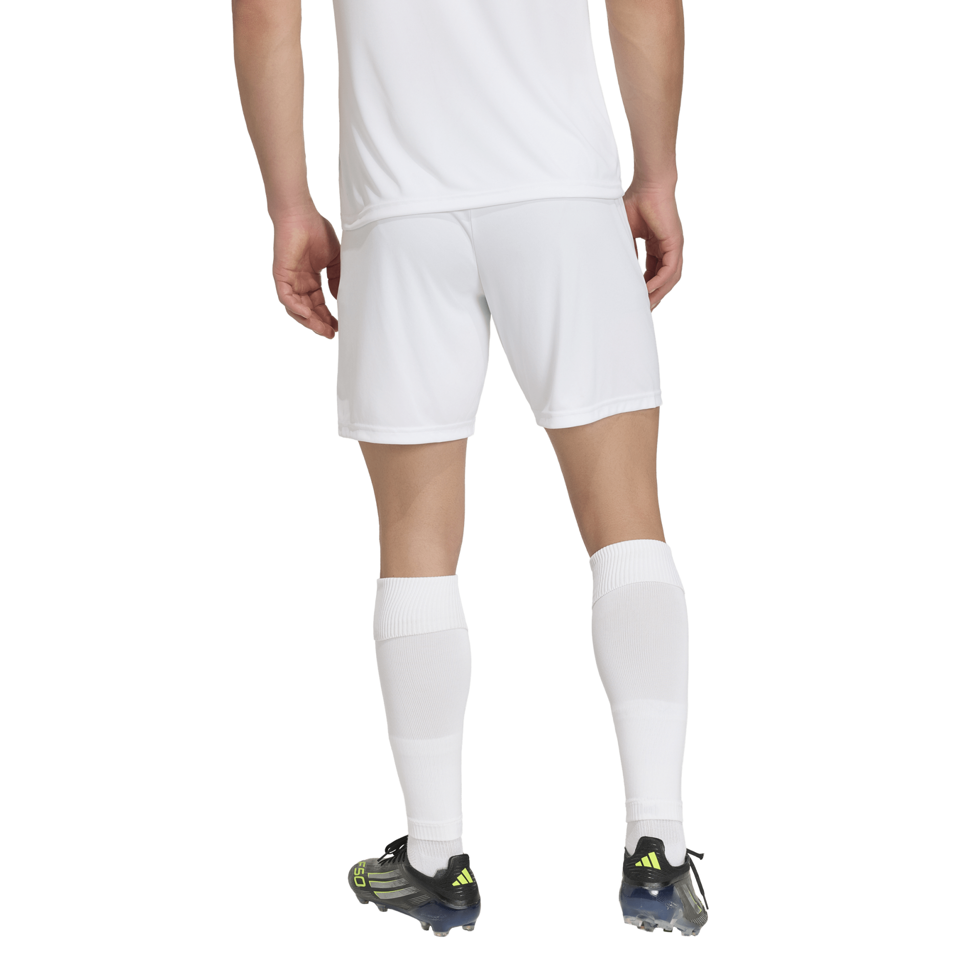 Adidas Entrada 26 Shorts - JZ2516