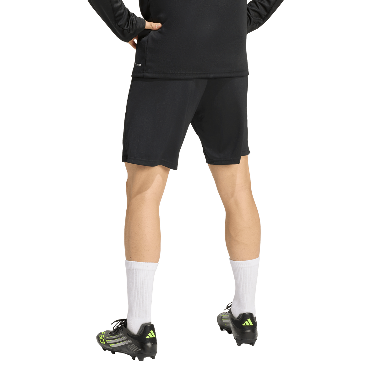 Adidas Entrada 26 Training Shorts - KD0985