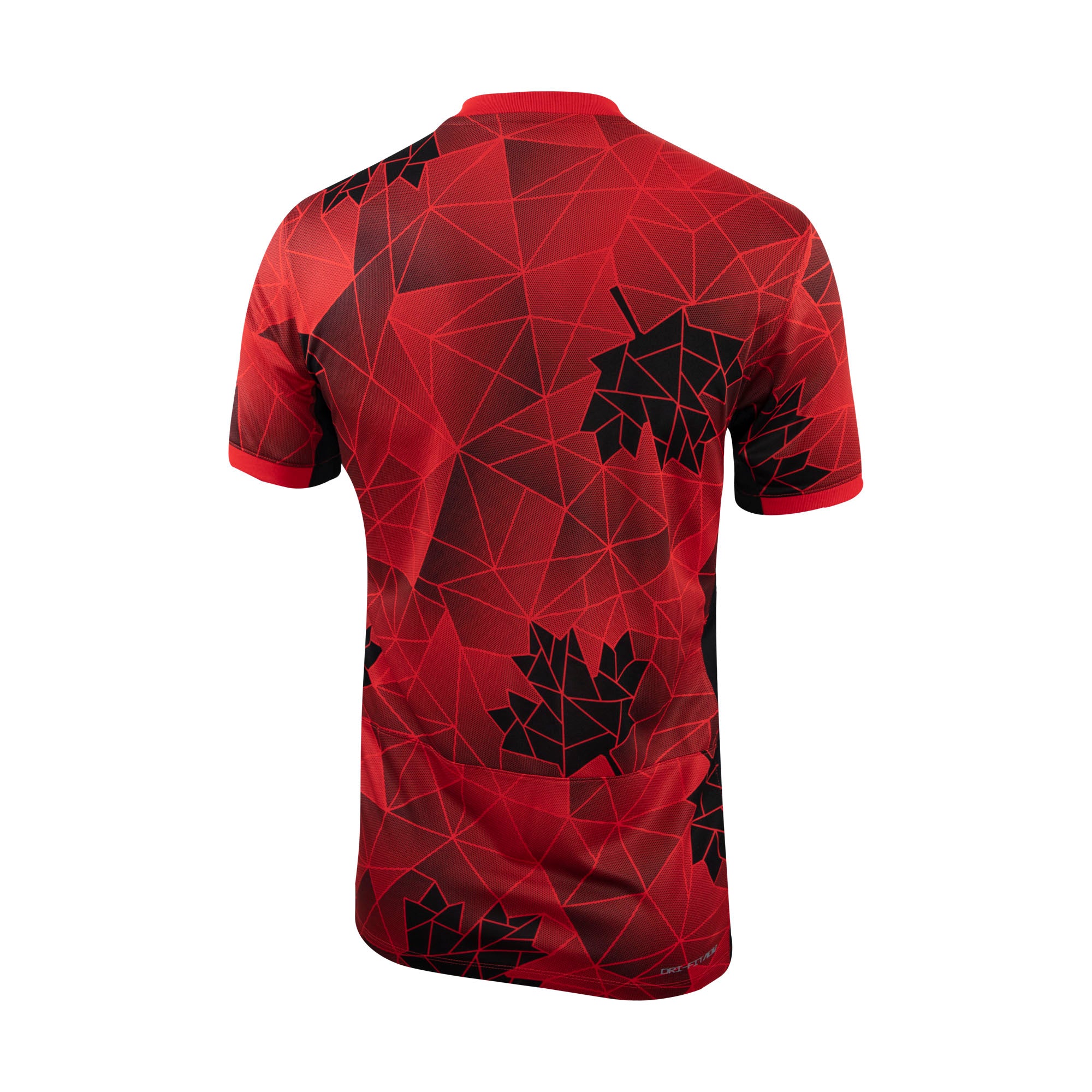 Men's Nike Red Canada Women's National Team 2023/24 Home Replica Jersey - P35190-657