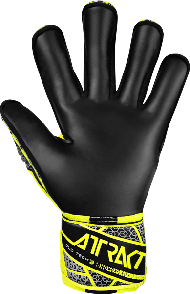 Reusch Attrakt Duo Evolution GK Gloves - 5570055-2025