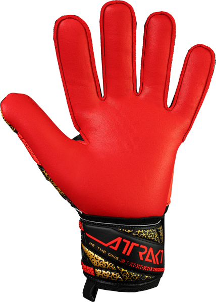Reusch Attrakt Silver GK Gloves - 5570215-7075