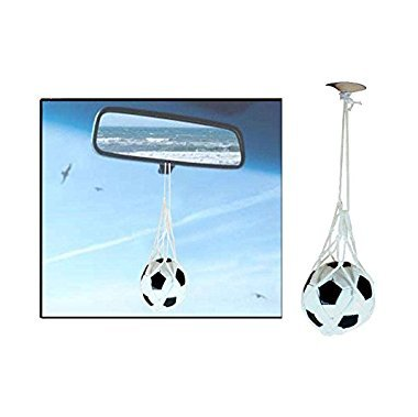 Sport Fresh Hanging Air Freshener