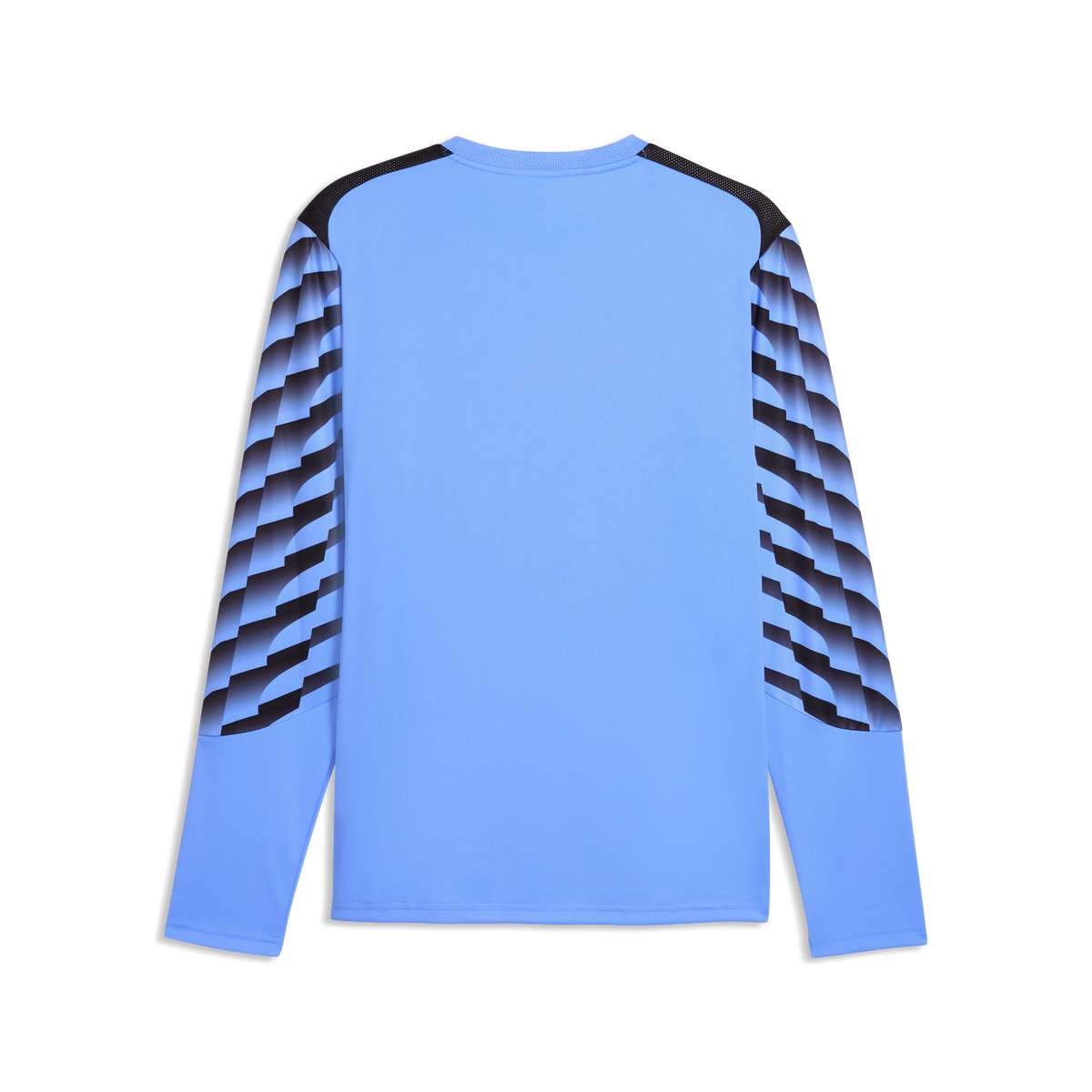 Puma TeamLiga26 LS GK Jersey - 706547 31