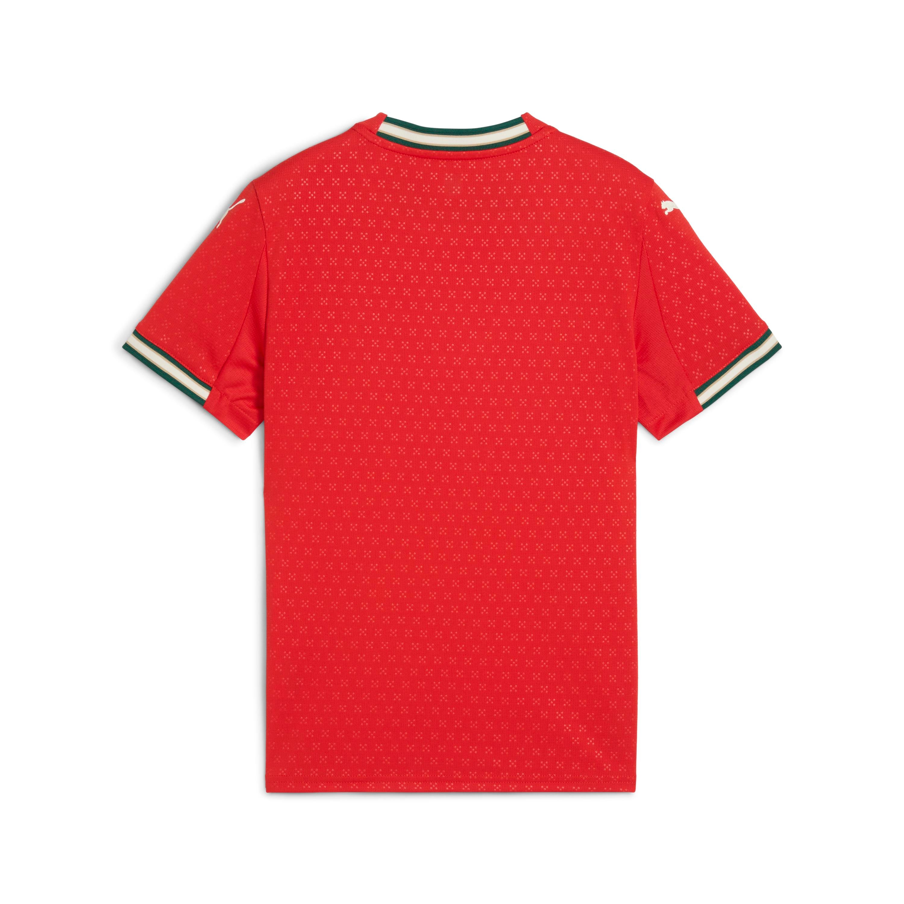 Puma Portugal Youth Home Jersey 25/26 - 779193 01