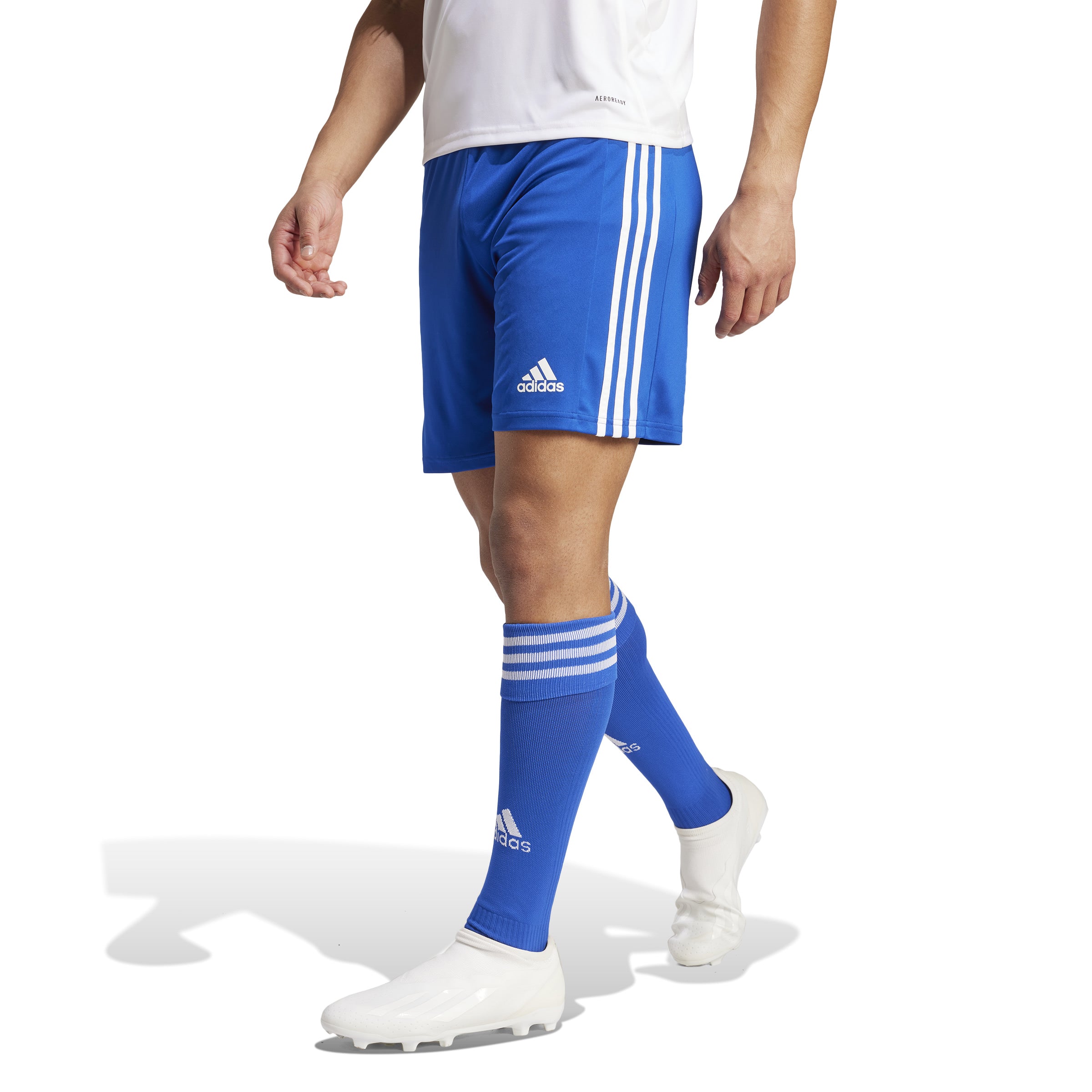 Adidas Squad 21 Short (Royal) - GK9153