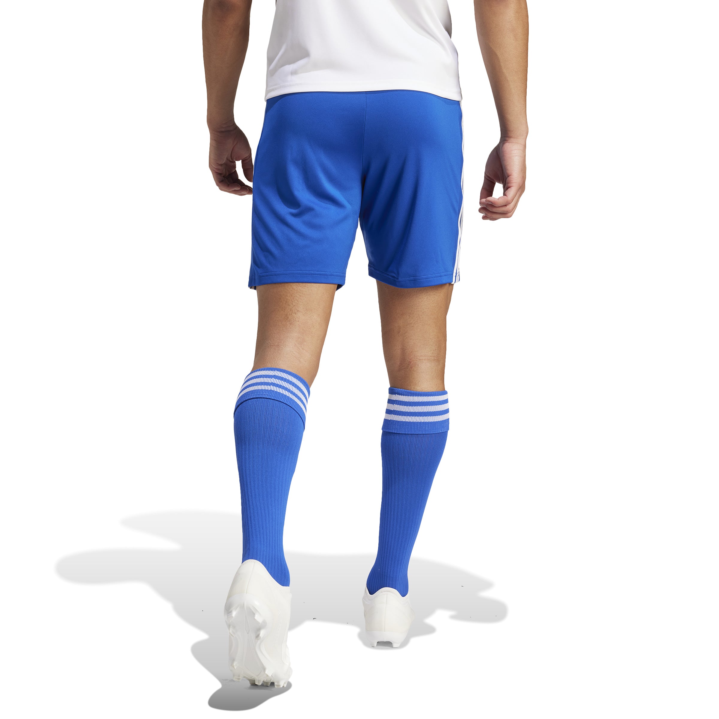 Adidas Squad 21 Short (Royal) - GK9153