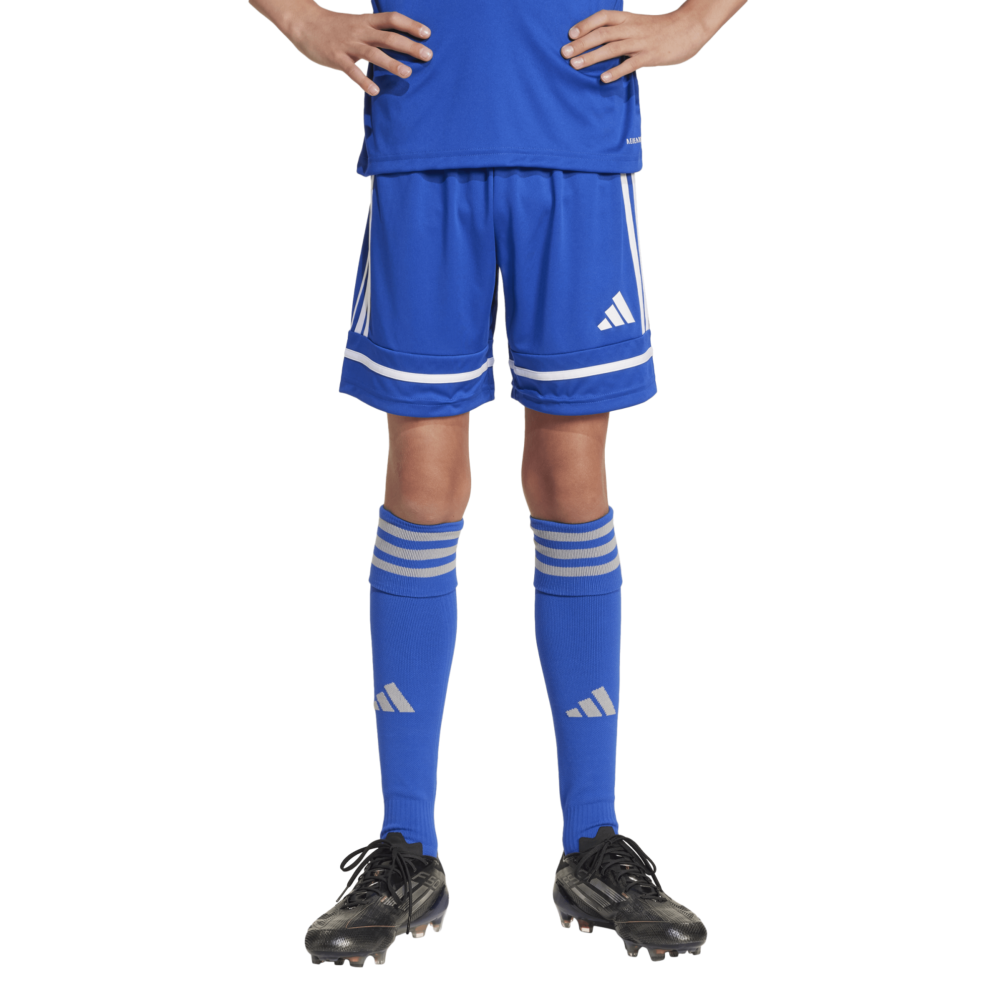 Adidas Squadra 25 Shorts Youth - JN5455