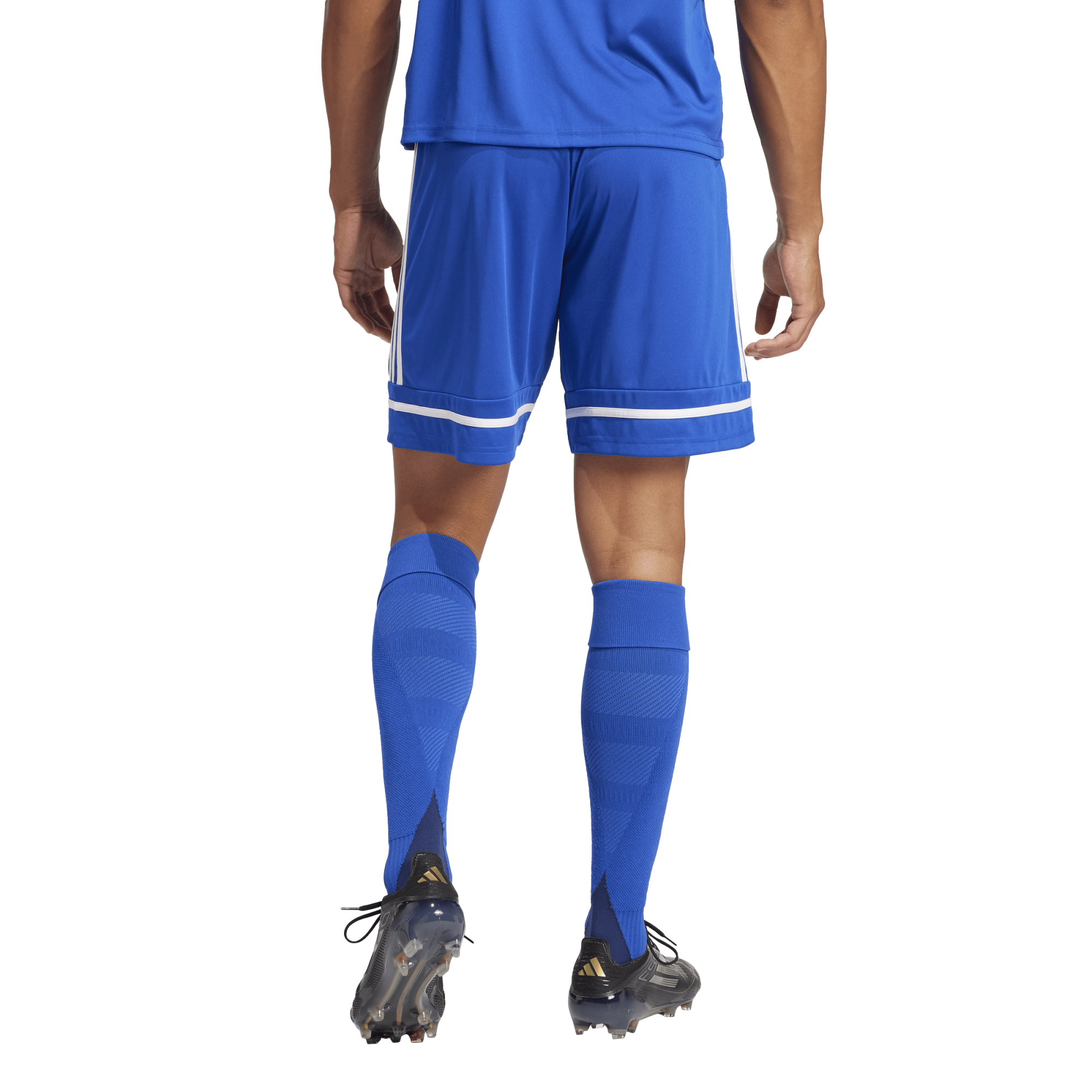 Adidas Squad 25 Shorts - JN5465