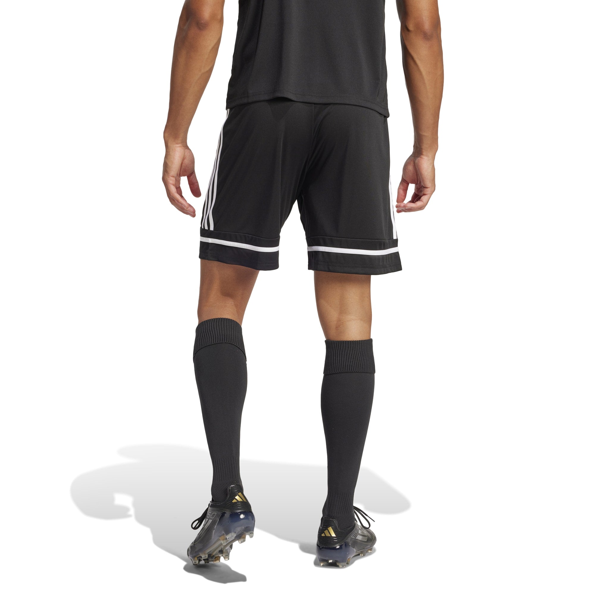 Adidas Squad 25 Short Men's - JN5469