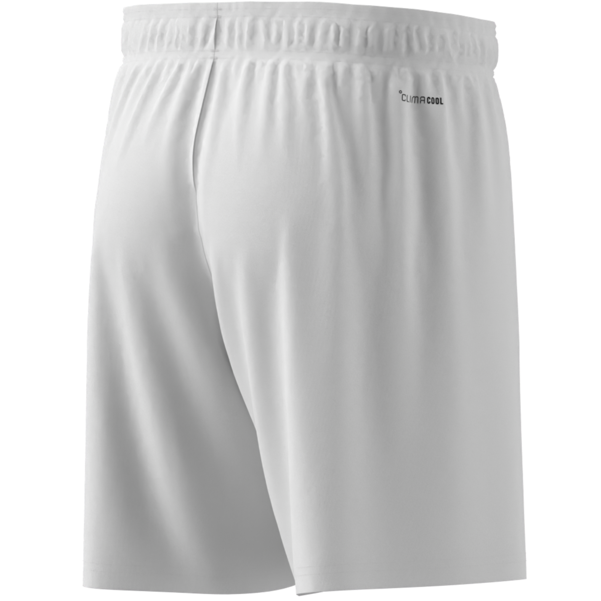 Adidas Entrada 26 Shorts - JZ2516