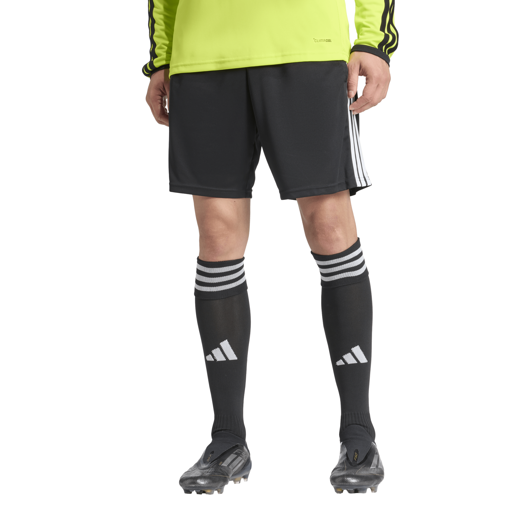 Short Arbitre Adidas 26 - KB3008