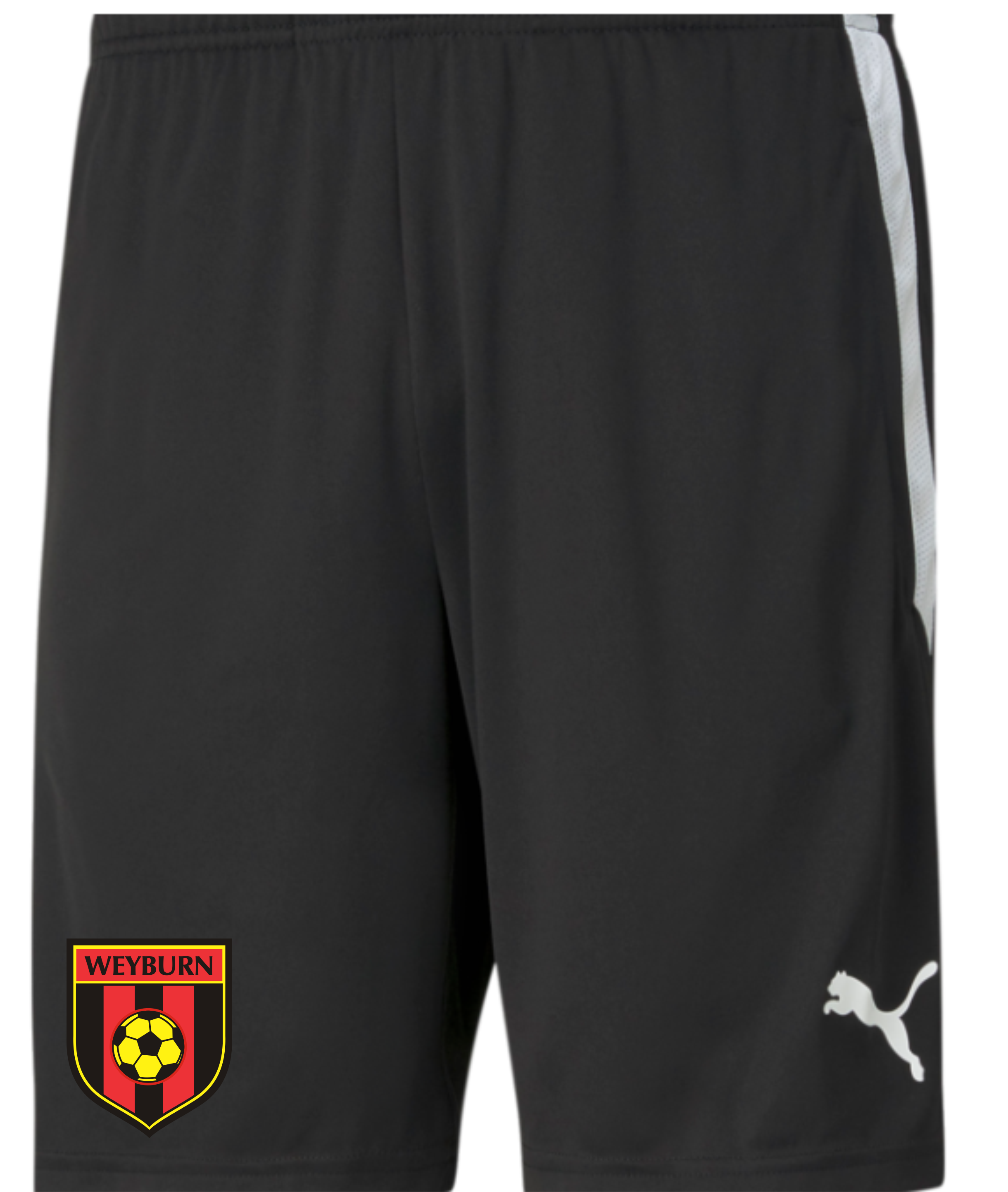 Puma Coach Shorts (Weyburn)